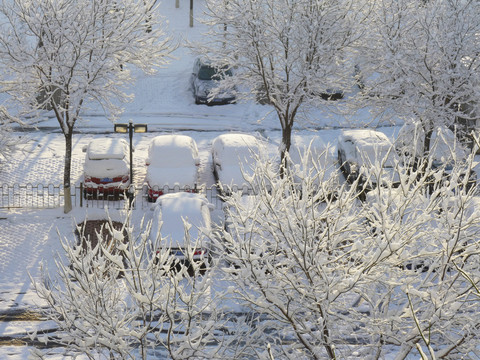 雪景