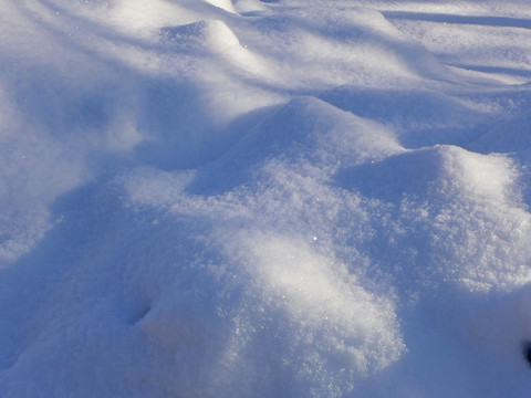 雪地