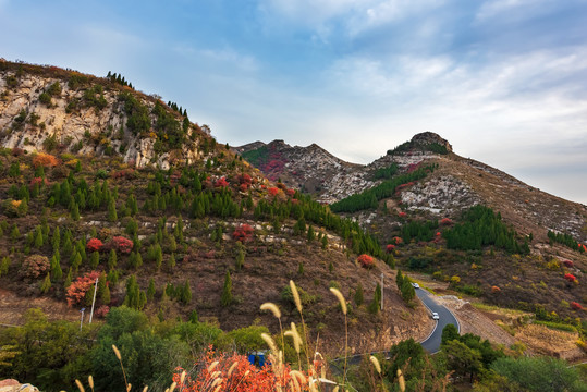 大山秋色