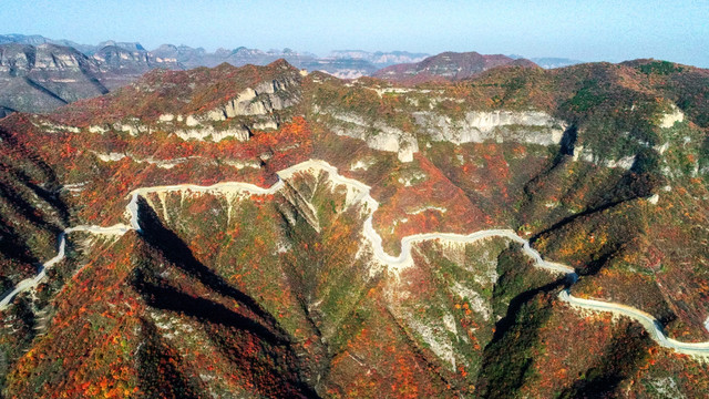 太行山庄子岭红叶