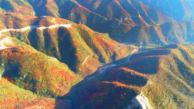 太行山庄子岭红叶