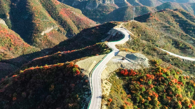 太行山庄子岭红叶