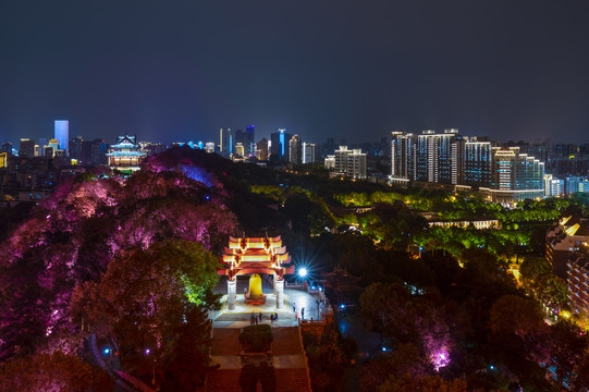 武汉黄鹤楼公园夜景灯光秀风光