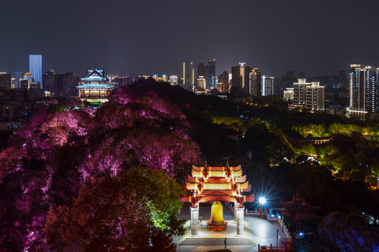 武汉黄鹤楼公园夜景灯光秀风光