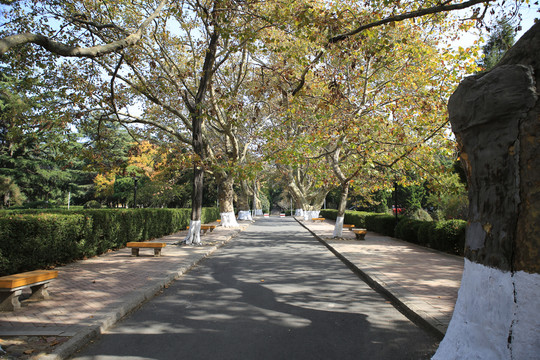 中国海洋大学鱼山校区