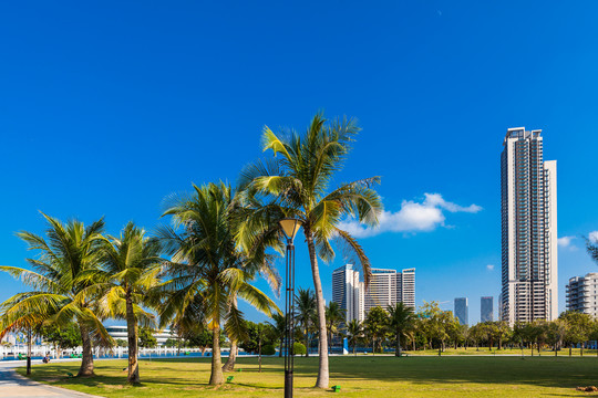 滨海城市热带风光