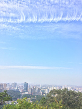 城市风景