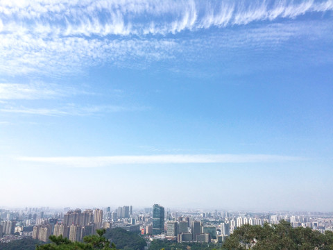 城市风景