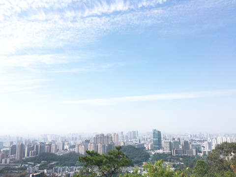 城市风景