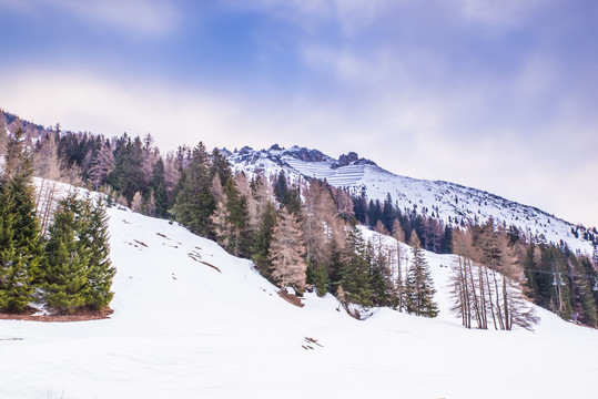 雪山