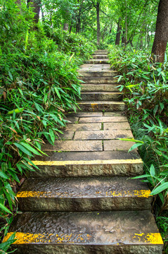 登山石阶