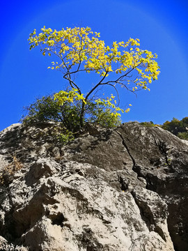 太行山脉河南新乡关山风景区