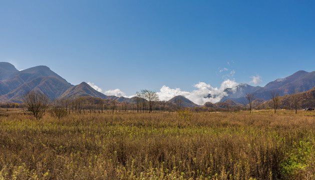 大九湖