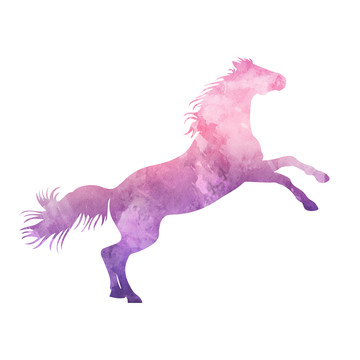 馬