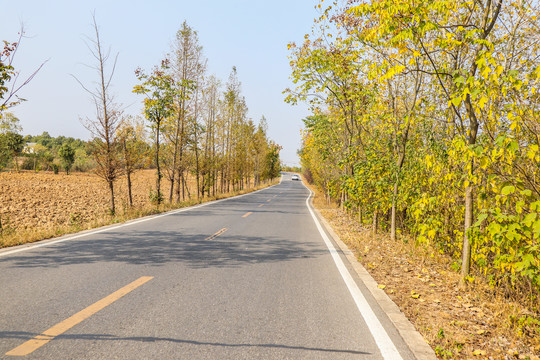 秋韵乡村道路