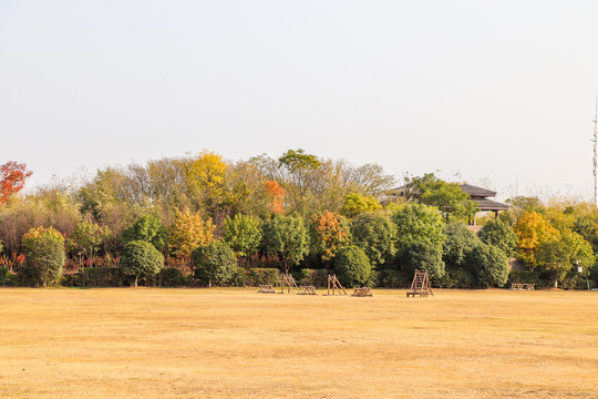 秋韵风景装饰画