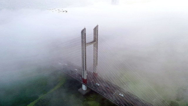 雾中的斜拉桥