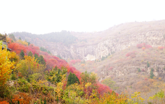 山野秋景