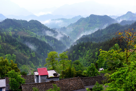 山乡晨雾