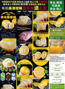 葡萄柚詳情