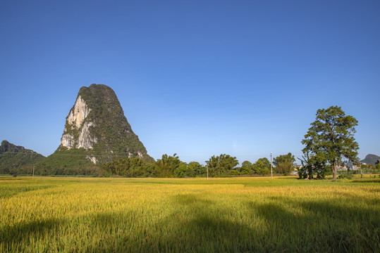 风景