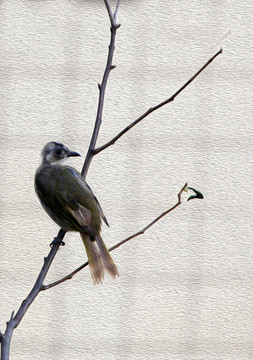 花鳥(niǎo)油畫(huà)麻雀