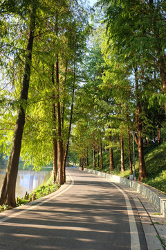 园林道路