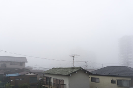 清晨浓雾