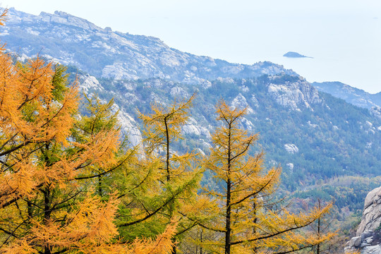 青岛崂山秋色