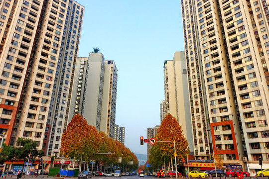 城市秋色