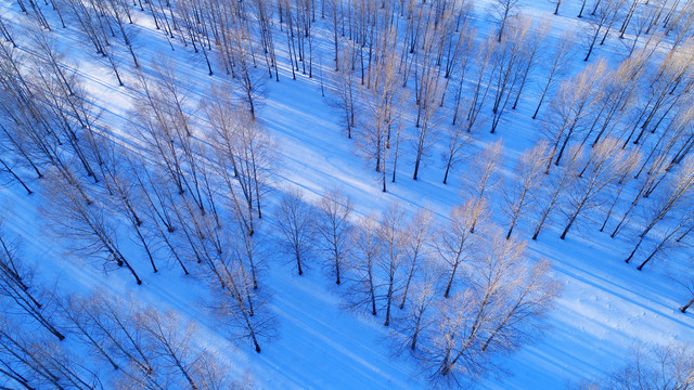 航拍冬季森林雪景