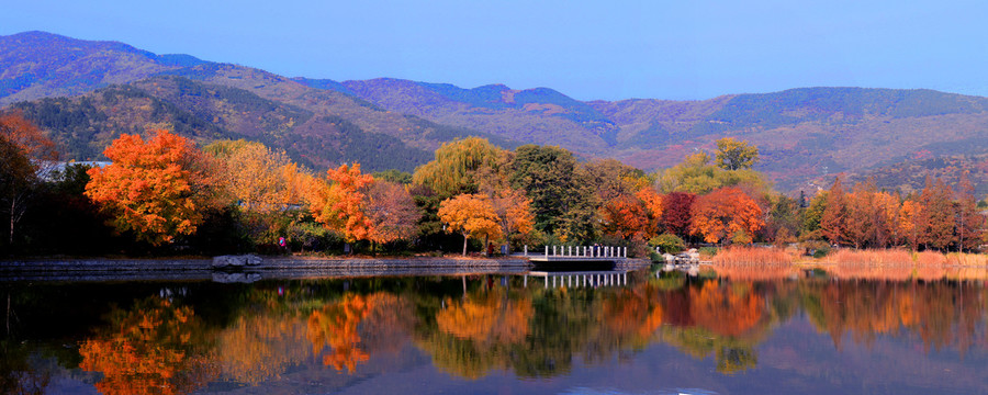 全景图1北京植物园秋色