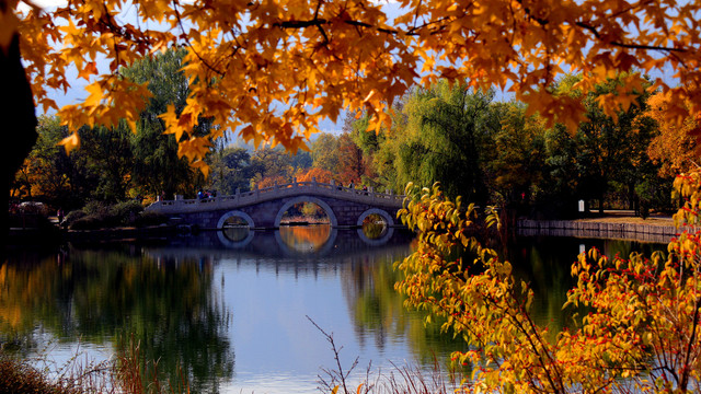 北京植物园秋色