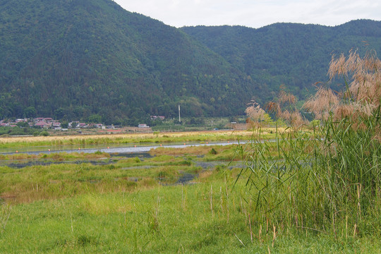 云南腾冲湿地公园