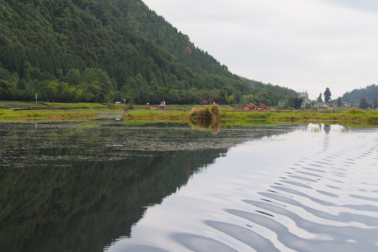 云南腾冲湿地公园