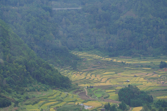 腾冲龙川梯田