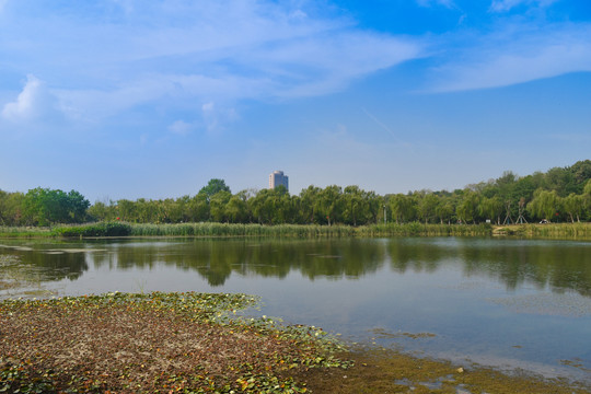 南京钟山风景区