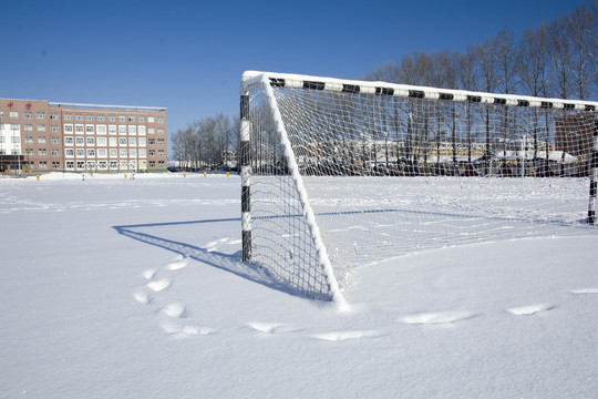 大雪覆盖的校园