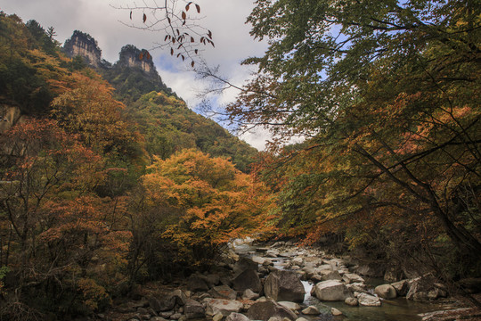 彩色的米仓山63