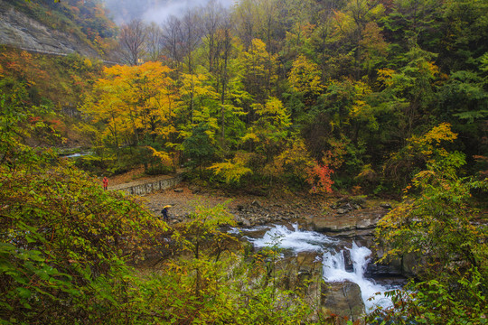 彩色的米仓山21