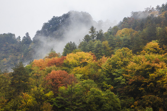 彩色的米仓山22