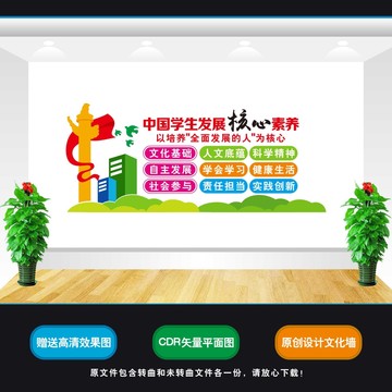 學(xué)生發(fā)展核心素養(yǎng)