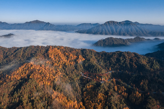 航拍光雾山云雾