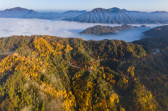 航拍光雾山云雾