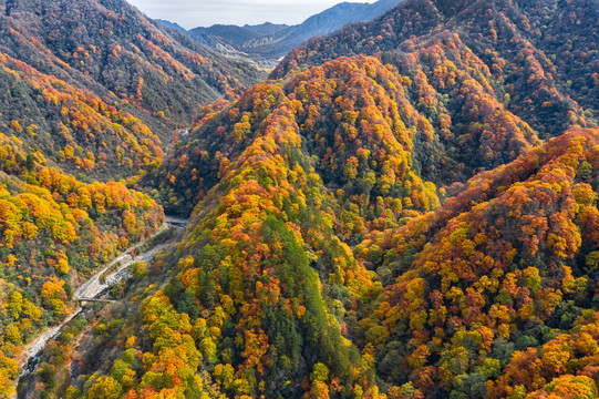 航拍光雾山大兰沟