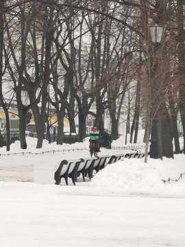 雪地摄影