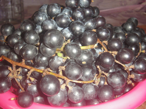 黑葡萄