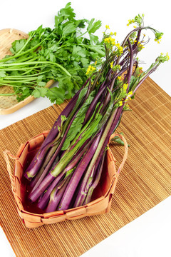 紫菜苔
