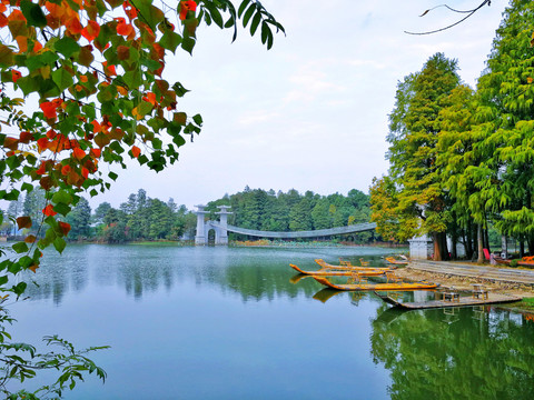 东湖落雁景区