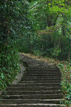 山林石梯